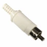 Plug RCA Macho Branco com Rabicho Rígido
